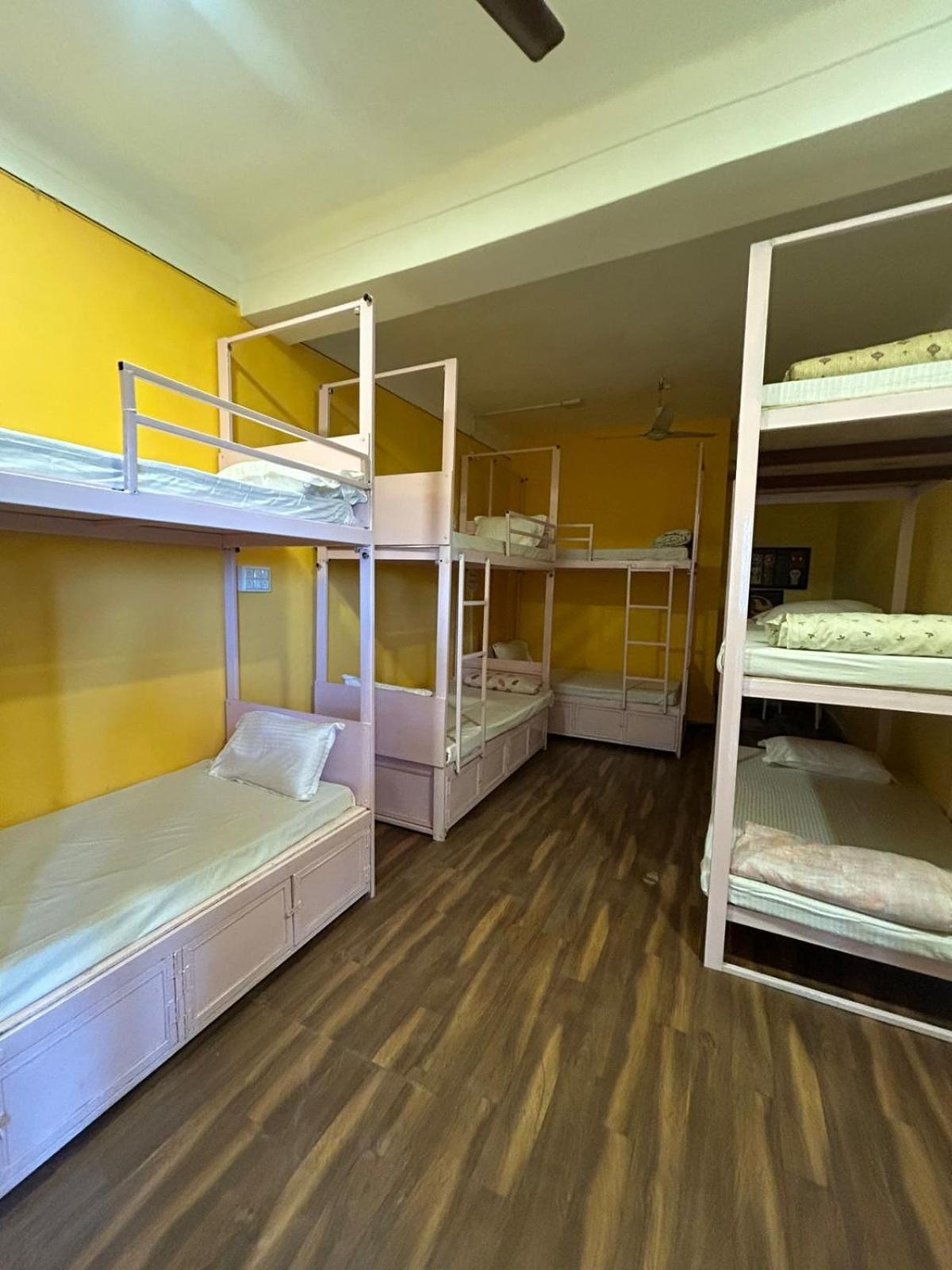 Unplanned Hostel 烏代浦 外观 照片