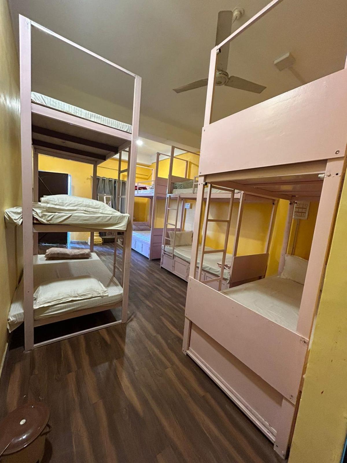 Unplanned Hostel 烏代浦 外观 照片