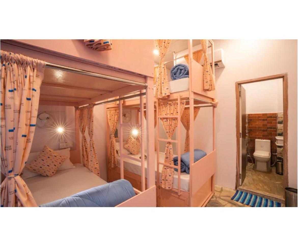 Unplanned Hostel 烏代浦 外观 照片