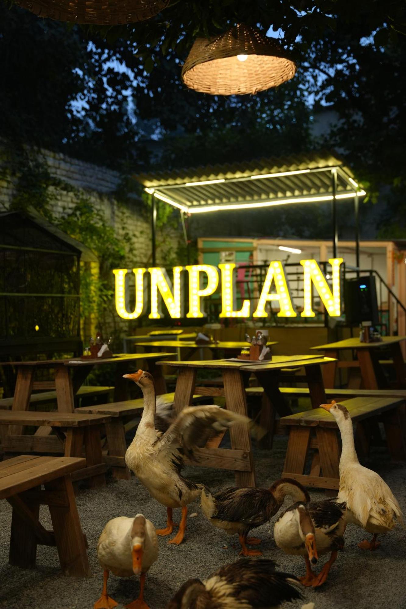Unplanned Hostel 烏代浦 外观 照片